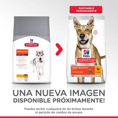 Hill's Adult 1+ Perfomance Science Plan con pollo Hill's Science Plan Hill's Adult 1+ Perfomance Science Plan Con Pollo -Bravery Tienda atf12 604383 packaging transition 1