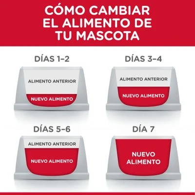 Hill's Adult 1+ Perfomance Science Plan con pollo Hill's Science Plan Hill's Adult 1+ Perfomance Science Plan Con Pollo -Bravery Tienda atf6 604383 feeding transition 3