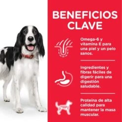 Hill's Science Plan Hill's Adult 1-6 Medium Science Plan Con Cordero Y Arroz -Bravery Tienda atf8 604354 key benefits 1