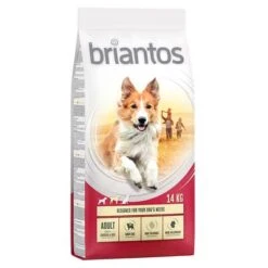 Briantos Pienso Para Perros - Pack Ahorro -Bravery Tienda briantos adult chickenrice 14kg 1000x1000 9