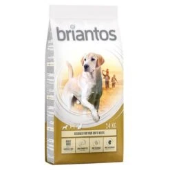 Briantos Pienso Para Perros - Pack Ahorro -Bravery Tienda briantos adult maxi chickenrice 14kg 1000x1000 2