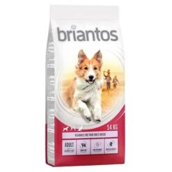 Briantos Pienso Para Perros - Pack Ahorro -Bravery Tienda briantos adult salmonrice 14kg 1000x1000 0