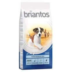 Briantos Pienso Para Perros - Pack Ahorro -Bravery Tienda briantos junior chickenrice 14kg 1000x1000 2