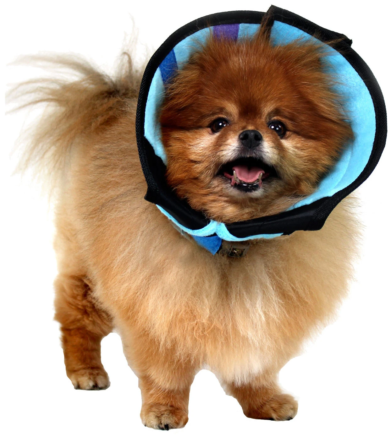 Calmer 15-23 cm / 12 cm Calmer 15-23 Cm / 12 Cm -Bravery Tienda calmer 15 23 cm 12 cm 1