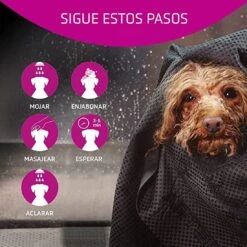 ARTERO Champú Vitalizante -Bravery Tienda champu modo de empleo 645278c90a4e0