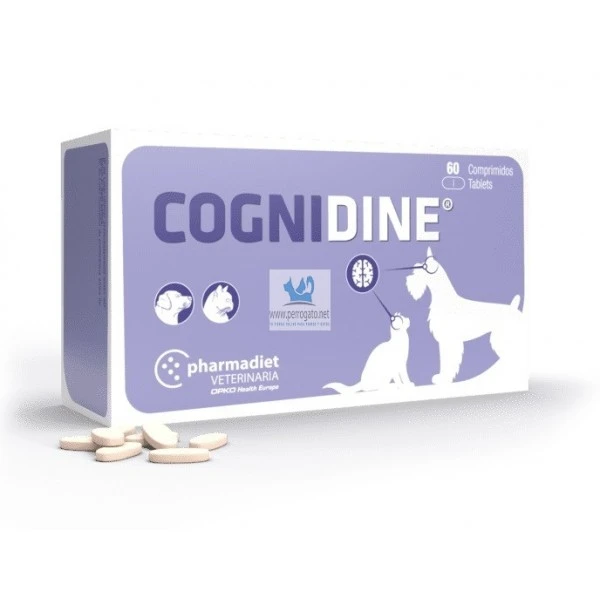 Cognidine 60 Comprimidos Cognidine 60 Comprimidos -Bravery Tienda cognidine 60 comprimidos 634ff9310683e