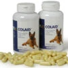 Colaid Para Problemas Gastrointestinales En Perros 2 Colaid Para Problemas Gastrointestinales En Perros -Bravery Tienda colaid para problemas gastrointestinales en perros 1