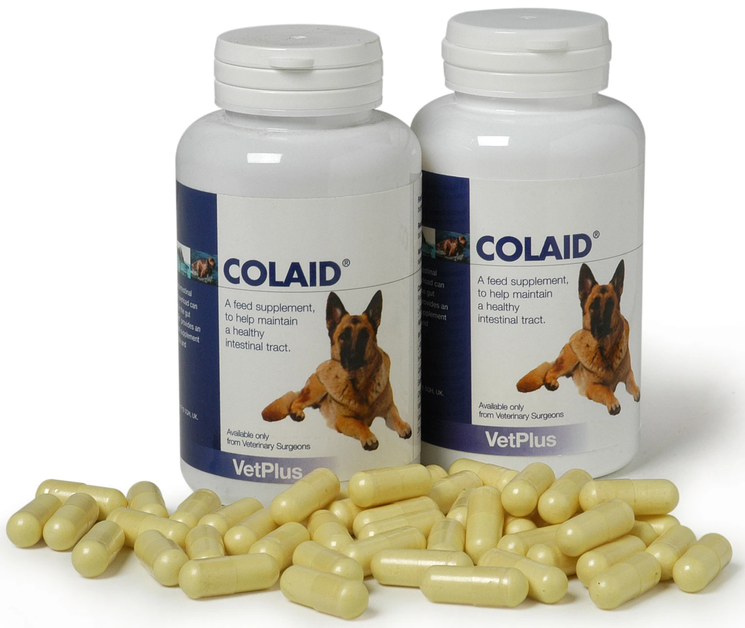 Colaid para Problemas Gastrointestinales en Perros Colaid Para Problemas Gastrointestinales En Perros -Bravery Tienda colaid para problemas gastrointestinales en perros 1