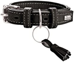 Hunter Collar Cannes Para Perros
