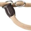 Hunter Collar De Adiestramiento Freestyle -Bravery Tienda collar de adiestramiento freestyle 1