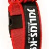 Julius K9 Collar Color & Gray IDC Con Asa Rojo 1 Julius K9 Collar Color & Gray IDC Con Asa Rojo -Bravery Tienda collar rojo juliusk9 62dfd64a896e1