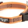 Julius K9 Collar