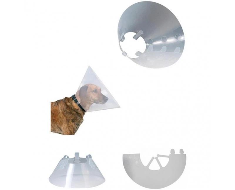 Collar Isabelino Ferribiella Collar Isabelino -Bravery Tienda collardog 628d15b4a568e