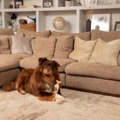 Pet Head Sensitive Soul Champú, Acondicionador Y Spray Para Perros -Bravery Tienda companyofanimals pethead sensitivesoul set3teilig hs 08 9