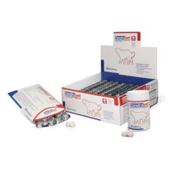 Condrovet Force HA Razas Grandes Condroprotector Articular 3 Condrovet Force HA Razas Grandes Condroprotector Articular -Bravery Tienda condroprotector perros condrovet force ha razas grandes BIIF109601 todo 65265909d2dfd