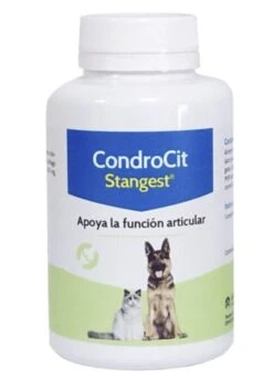 Condroproctector Para Perros Y Gatos Condrocit 5 Condroproctector Para Perros Y Gatos Condrocit -Bravery Tienda controcit stangest 647770f80ace0