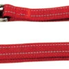 Nayeco Correa Adiestramiento Nylon Reflectante Rojo 2 Nayeco Correa Adiestramiento Nylon Reflectante Rojo -Bravery Tienda correa adiestramiento nylon reflectante rojo 1