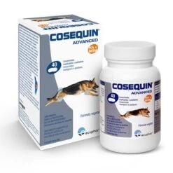 Cosequin Advanced Condroprotector Para Perros 4 Cosequin Advanced Condroprotector Para Perros -Bravery Tienda cosequin 03 2