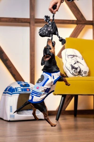 Cuerda Dental para Perro Star Wars Cuerda Dental Para Perro Star Wars -Bravery Tienda cuerda dental para perro star wars 7