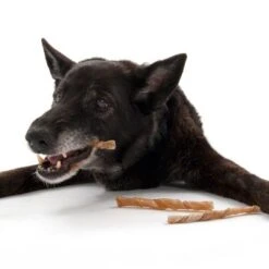 Trixie 100 Rollitos Masticables Para Perros -Bravery Tienda dsc2582 2