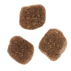 Wolf Of Wilderness The Taste Of The Mediterranean 9 Wolf Of Wilderness The Taste Of The Mediterranean -Bravery Tienda dsc2639 2