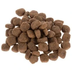 Wolf Of Wilderness The Taste Of The Mediterranean 8 Wolf Of Wilderness The Taste Of The Mediterranean -Bravery Tienda dsc2641 5