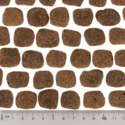 Wolf Of Wilderness The Taste Of The Mediterranean 6 Wolf Of Wilderness The Taste Of The Mediterranean -Bravery Tienda dsc2642 0