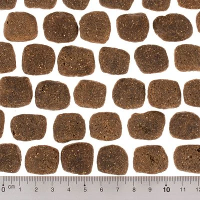 Wolf of Wilderness The Taste Of The Mediterranean Wolf Of Wilderness The Taste Of The Mediterranean -Bravery Tienda dsc2642 0