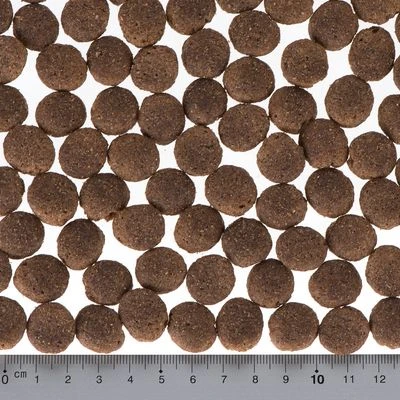 Briantos Adult Sensitive con cordero y arroz Briantos Adult Sensitive Con Cordero Y Arroz -Bravery Tienda dsc2921 0