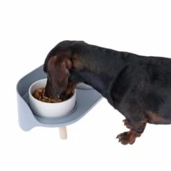 TIAKI Comedero Doble De Cerámica Para Mascotas -Bravery Tienda dsc6184 0