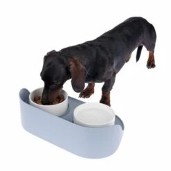 TIAKI Comedero Doble De Cerámica Para Mascotas -Bravery Tienda dsc6191 9