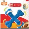 Nylabone Dura Chew X Bone Para Perros -Bravery Tienda dura chew x bone para perros 1