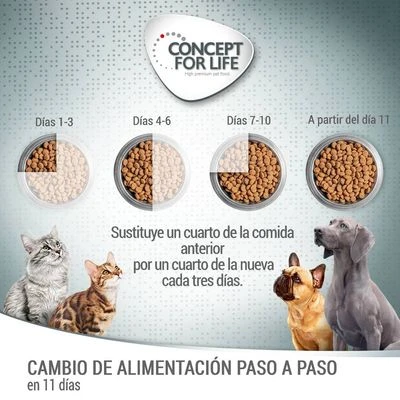 PROMO: Concept for Life pienso para perros 12 + 1,5 kg ¡gratis! PROMO: Concept For Life Pienso Para Perros 12 + 1,5 Kg ¡gratis! -Bravery Tienda