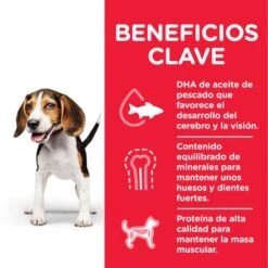 Hill's Science Plan Hill's Puppy <1 Medium Science Plan Con Pollo -Bravery Tienda es dog puppy medium chicken transition benefits jpg 1 1