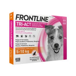 Frontline Pipetas Tri-Act Solución Spot-On Para Perros De 5-10 Kg 7 Frontline Pipetas Tri-Act Solución Spot-On Para Perros De 5-10 Kg -Bravery Tienda frontline tri act 5 10 kg 6 pipetas