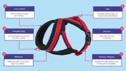 Arnés Comfy Rojo -Bravery Tienda halti walking comfy harness image carousel 1100 x 620 62332bafa0624