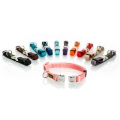 Hunter Collar Vario Basic Alu Strong Color Rojo -Bravery Tienda hunter hunter coleira alu strong 63ac9fec16057