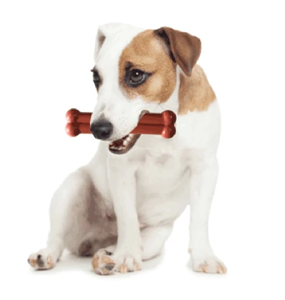 Bone Ternera Asada y Vino Tinto Bone Ternera Asada Y Vino Tinto -Bravery Tienda image qp 3 6349154872eda