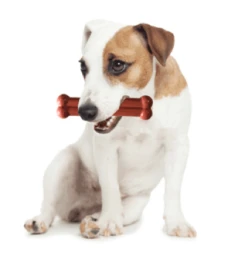 Twinpack Meat Ternera Wellington Y Cordon Bleu 4 Twinpack Meat Ternera Wellington Y Cordon Bleu -Bravery Tienda image qp 3 6349155a84ec4