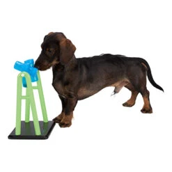 Trixie Juguete Educativo Dog Activity Turn Around 5 Trixie Juguete Educativo Dog Activity Turn Around -Bravery Tienda juguete educativo dog activity turn around perro