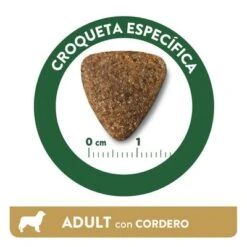 Affinity Libra Adult Con Cordero Pienso Para Perros 4 Affinity Libra Adult Con Cordero Pienso Para Perros -Bravery Tienda kibble libra dog adult lamb es 0