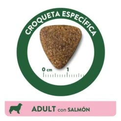 Affinity Libra Adult Con Salmón Pienso Para Perros 5 Affinity Libra Adult Con Salmón Pienso Para Perros -Bravery Tienda kibble libra dog adult salmon es 3