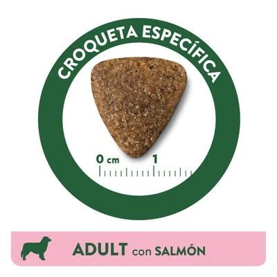 Affinity Libra Adult con salmón pienso para perros Affinity Libra Adult Con Salmón Pienso Para Perros -Bravery Tienda kibble libra dog adult salmon es 3