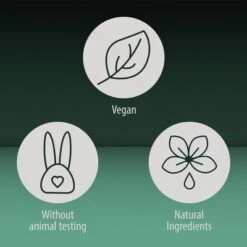 Kooa Set Para La Higiene Dental -Bravery Tienda kooa icons 9