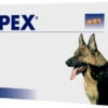 Lypex Para Problemas Del Páncreas En Perros Y Gatos 1 Lypex Para Problemas Del Páncreas En Perros Y Gatos -Bravery Tienda lypex para problemas del pancreas en perros gatos 1