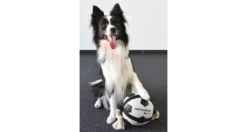 Flamingo Pelota Action Ball Fútbol Grande Diametro 22 Cm