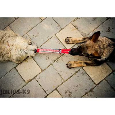 Mordedor de tela francesa 2 asas Julius K9 Mordedor De Tela Francesa 2 Asas -Bravery Tienda mordedor de tela francesa julius k9 2 asas 3