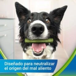 PURINA Dentalife Active Fresh Snacks Dentales Para Perros Pequeños 3 PURINA Dentalife Active Fresh Snacks Dentales Para Perros Pequeños -Bravery Tienda objective 5