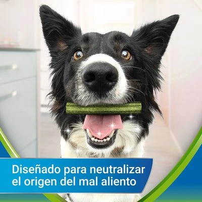 PURINA Dentalife Active Fresh snacks dentales para perros pequeños PURINA Dentalife Active Fresh Snacks Dentales Para Perros Pequeños -Bravery Tienda objective 5
