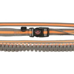Trixie Correa Para Perros Especial Para Correr Gris Verde -Bravery Tienda originals PHO PRO DET CLIP PHO PRO DET CLIP 12763 3 SALL AWK V1 63106efce7cb9